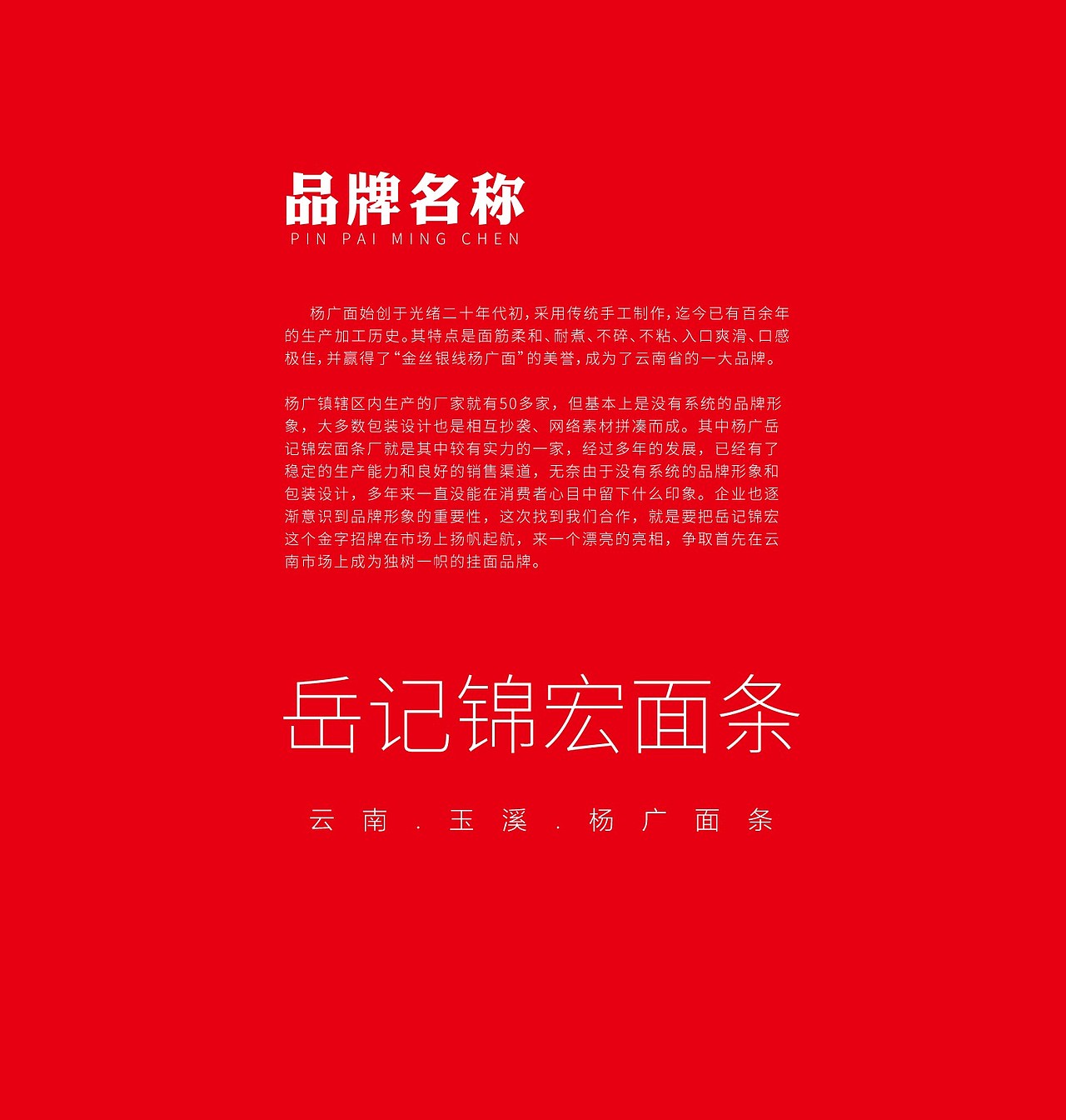 面条品牌策划全案