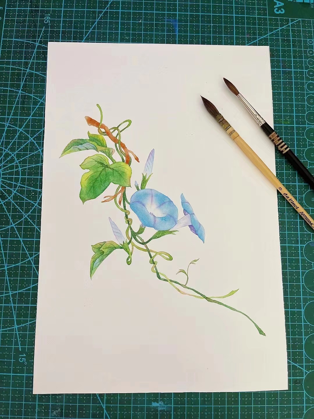 花卉（图ZMzExMzgwMTgw） - 绘画 - 站酷设计师fionamom1原创素材 - 站酷ZCOOL