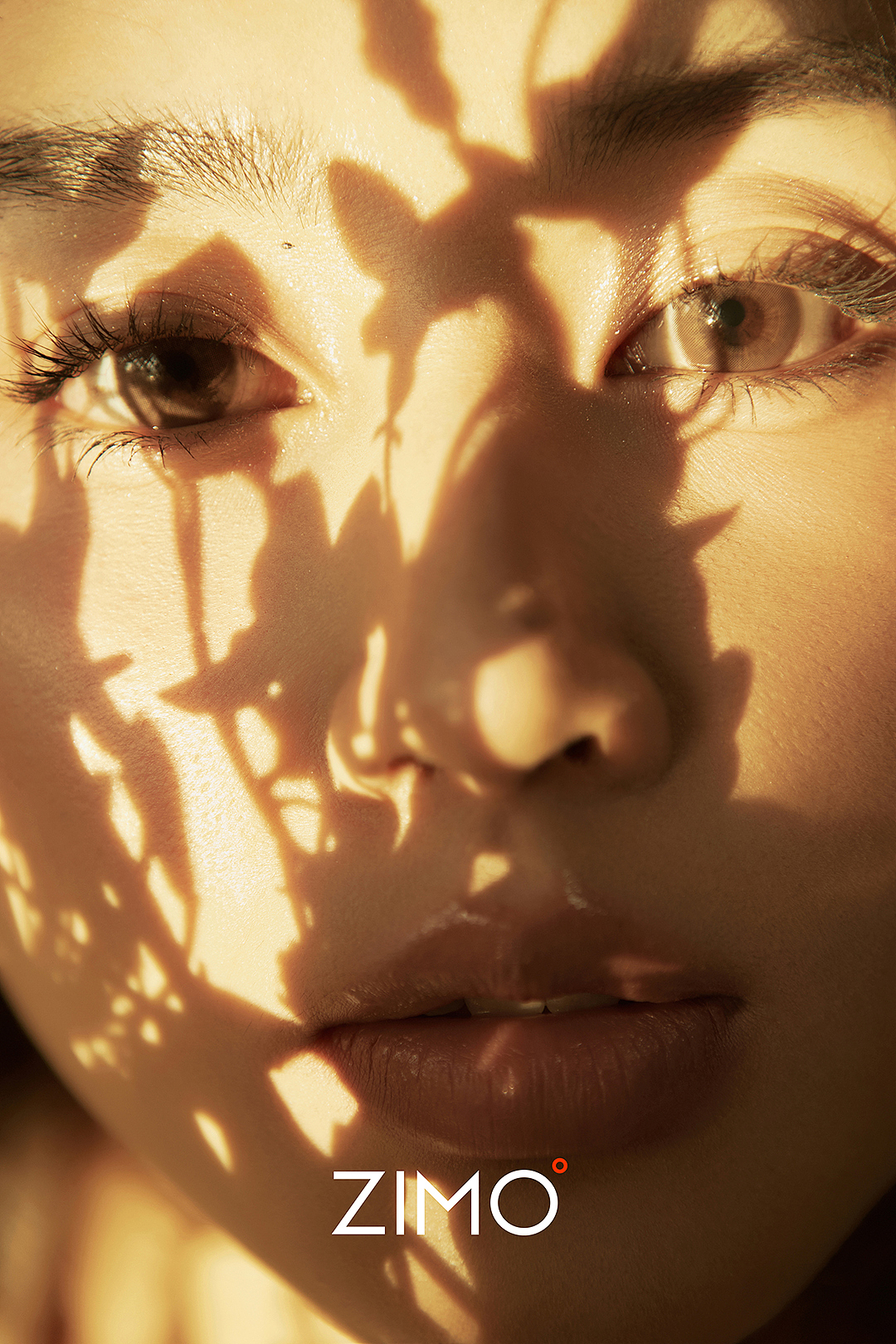 冬日私语（图ZMzU4MDg0MjY0） - 修图/后期 - 站酷设计师子墨设计工作室原创素材 - 站酷ZCOOL