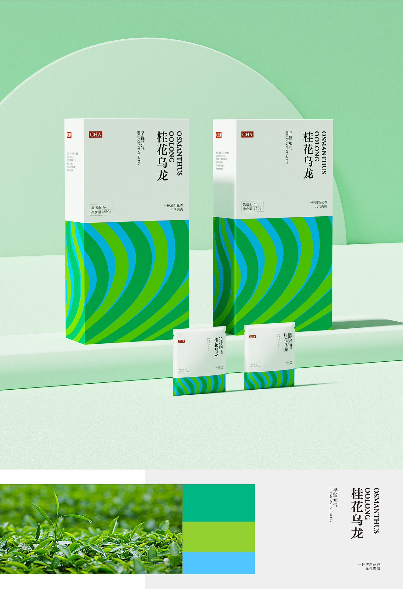 包装设计｜茶系列包装（图ZMzA1MzUyNjky） - 包装 - 站酷设计师点点心弦原创素材 - 站酷ZCOOL