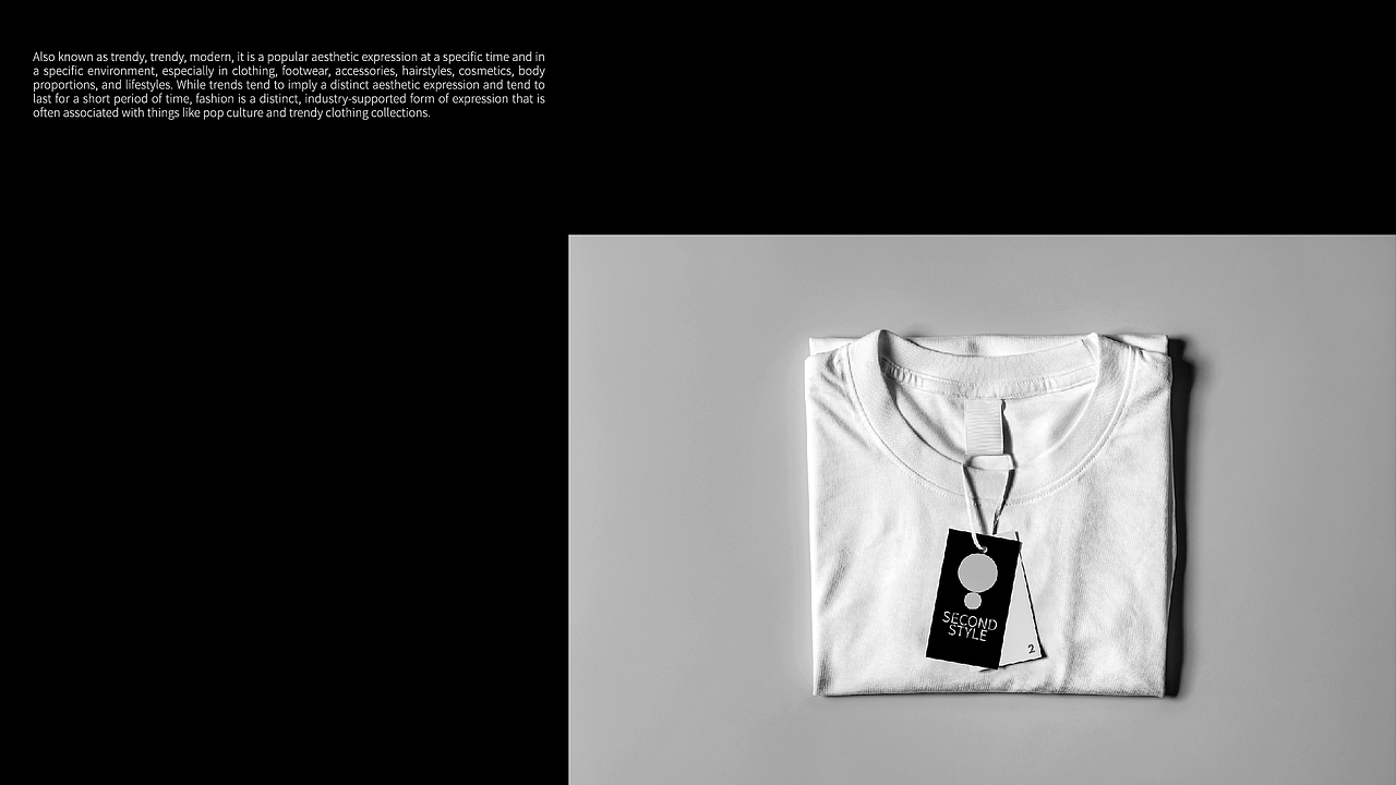 SECOND STYLE 品牌设计