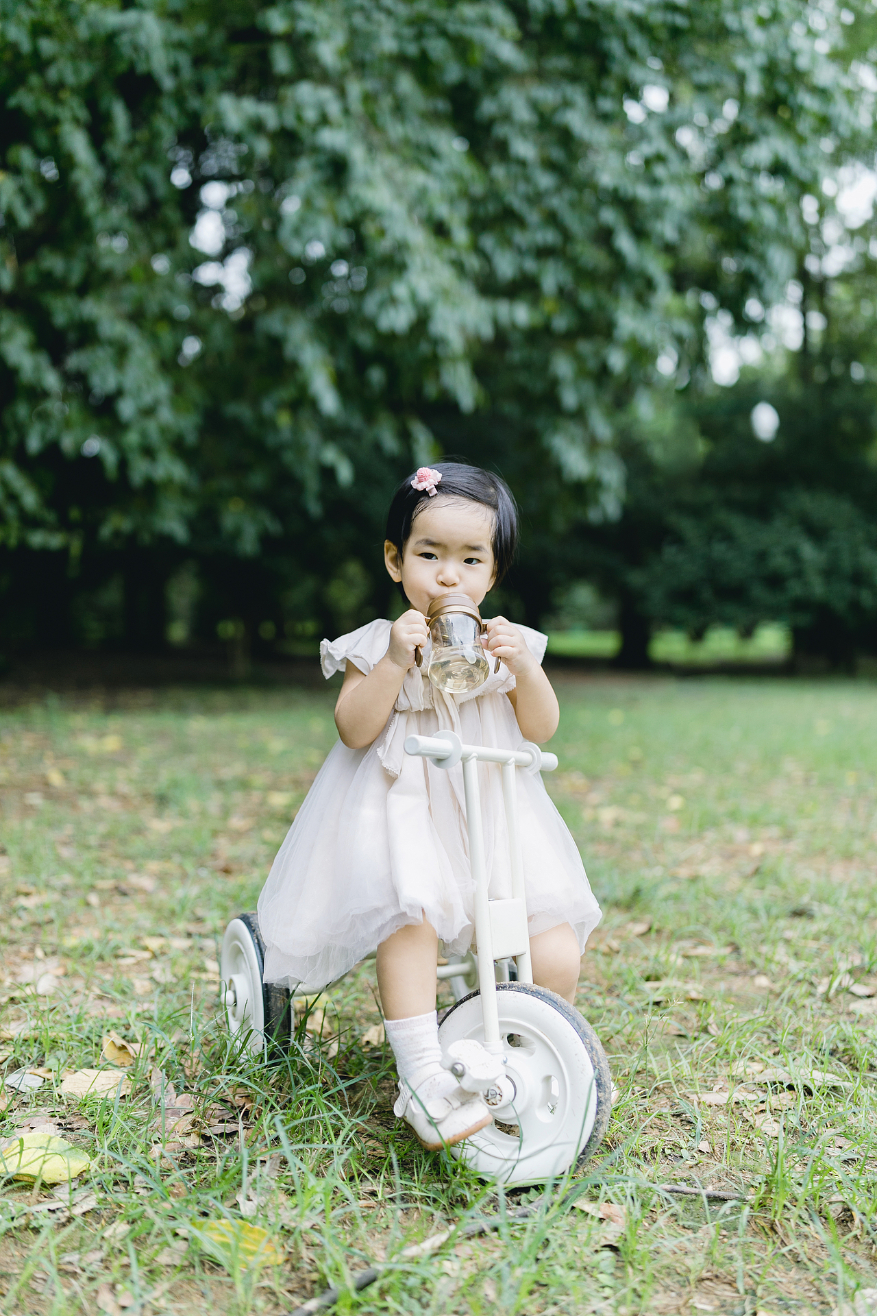 两岁的团团你好