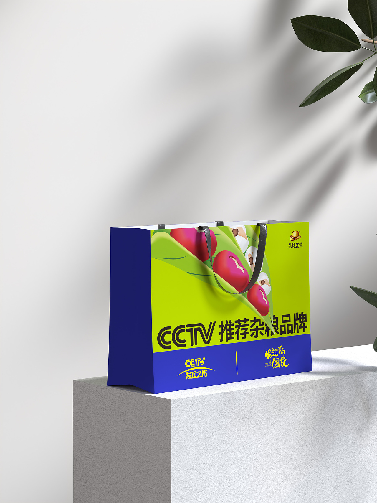 上榜央视-杂粮手提袋包装设计