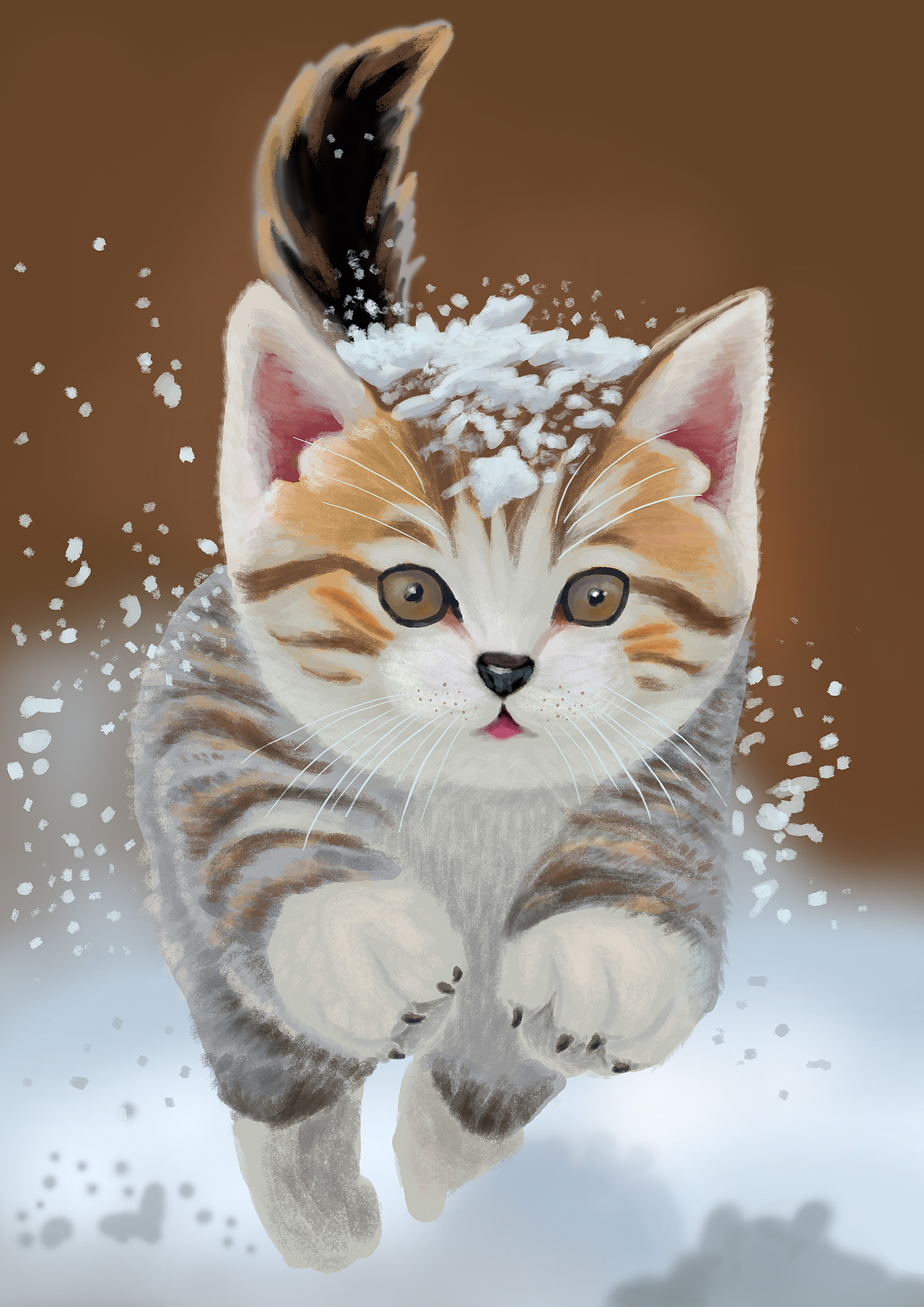 小动物和下雪天更配-猫