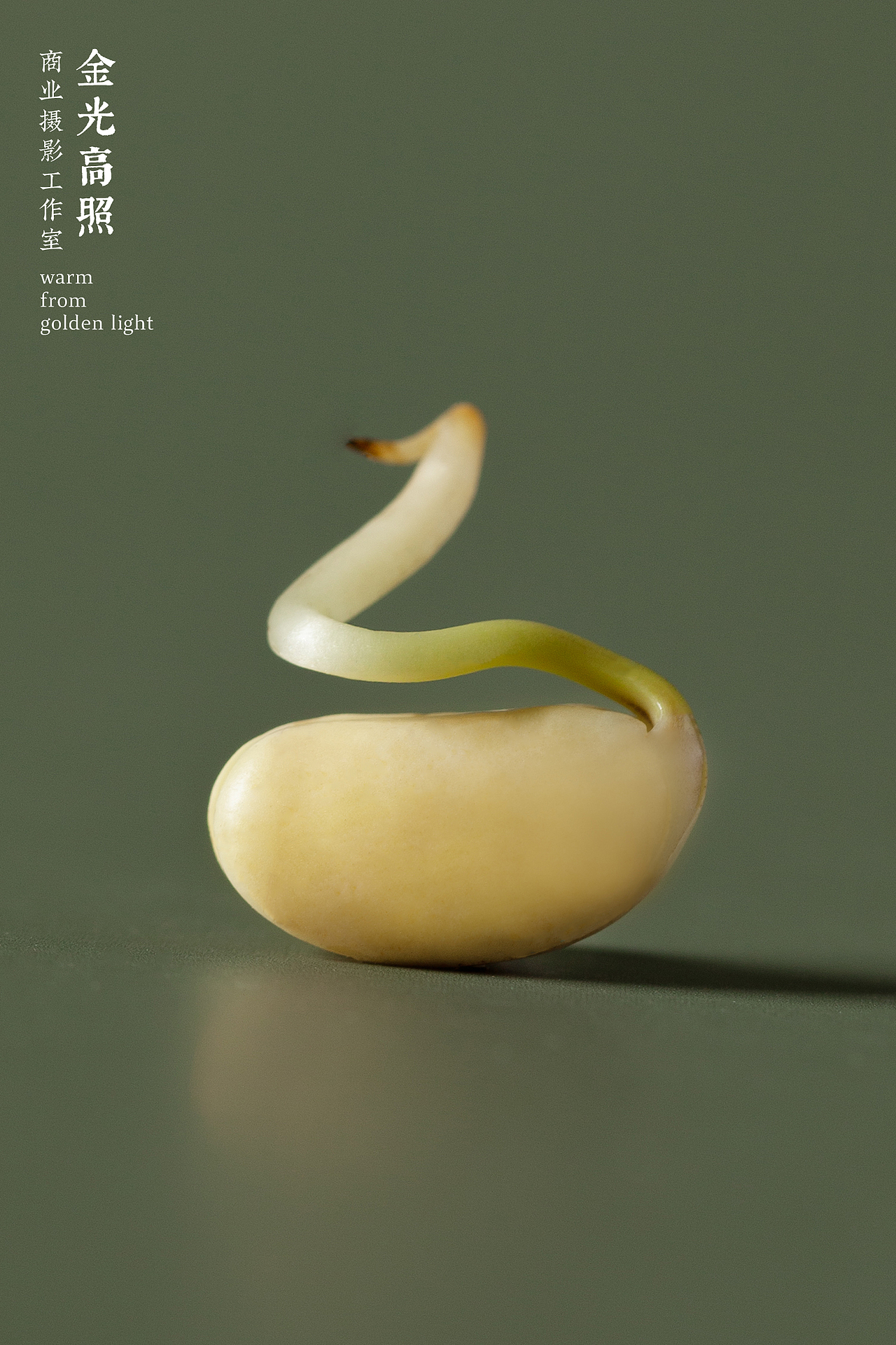 【手执烟火以谋生 心怀诗意以谋爱】近期工作和生活（图ZMjk4MjkxNzYw） - 产品摄影 - 站酷设计师金光高照商业摄影原创素材 - 站酷ZCOOL