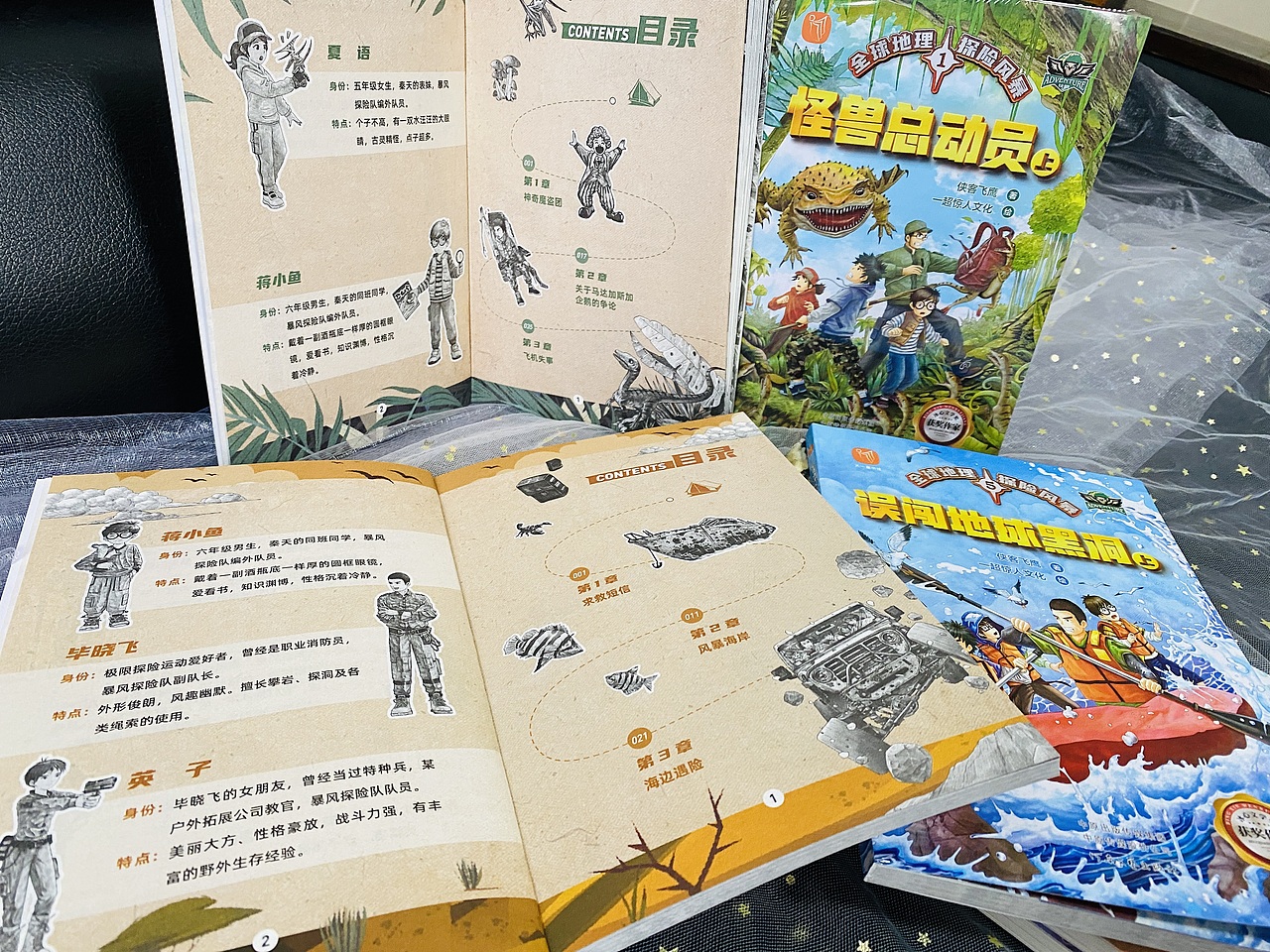 全球地理探险风暴【6册】---已出版