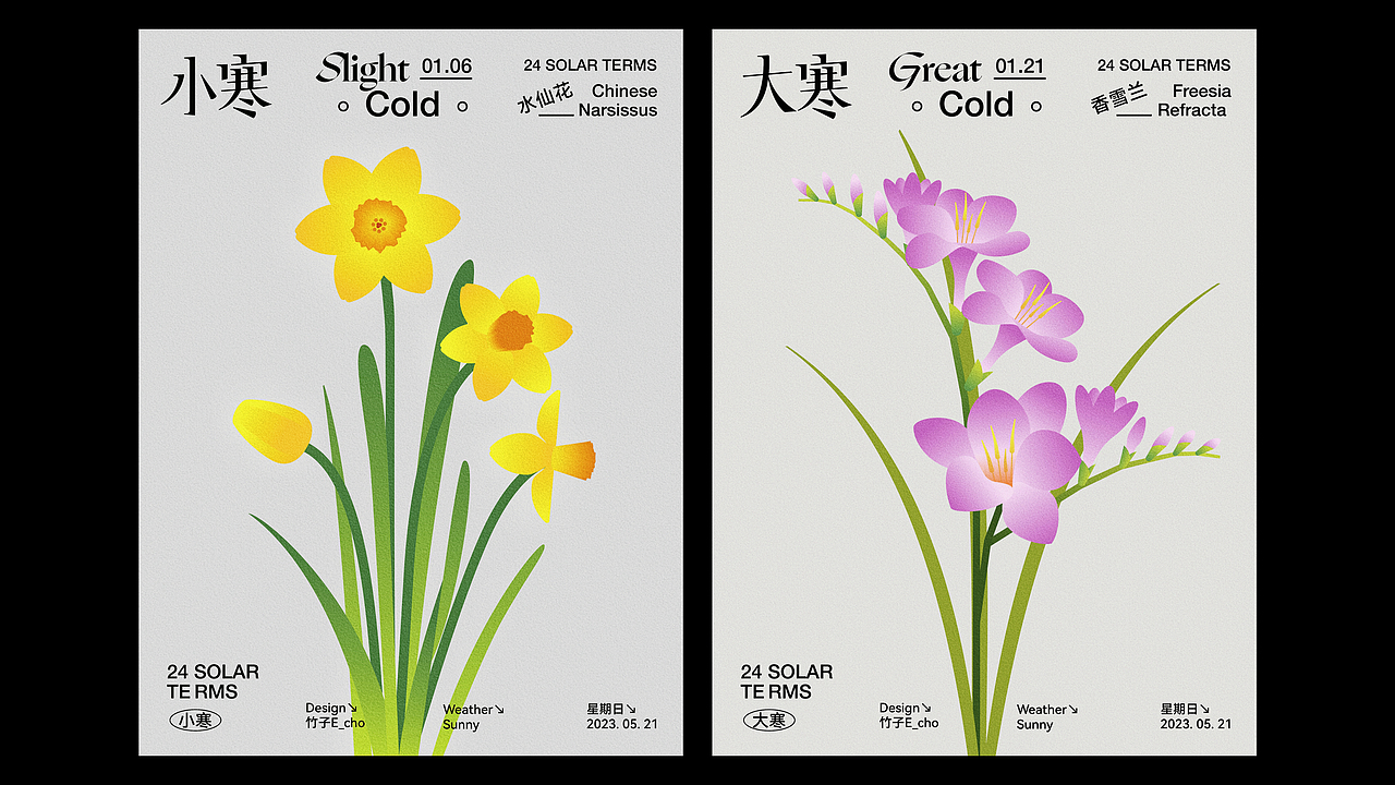 二十四节气花卉