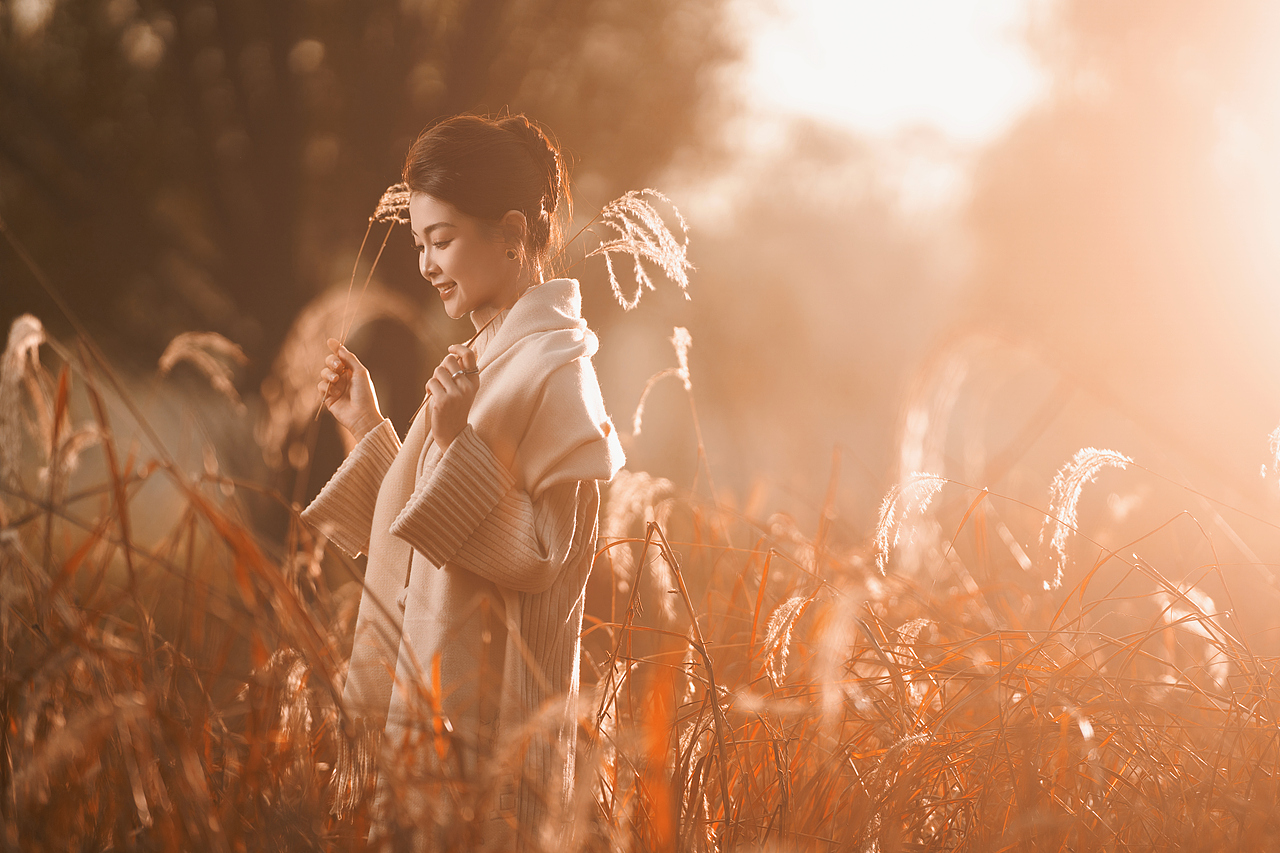 奥森公园深秋芦苇写真