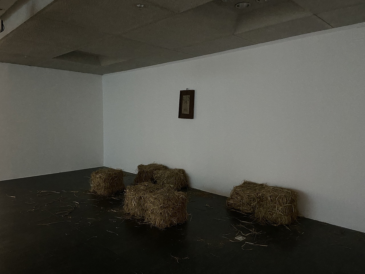 广州-广东美术馆:我的1/3亩田-银坎保的一个计划