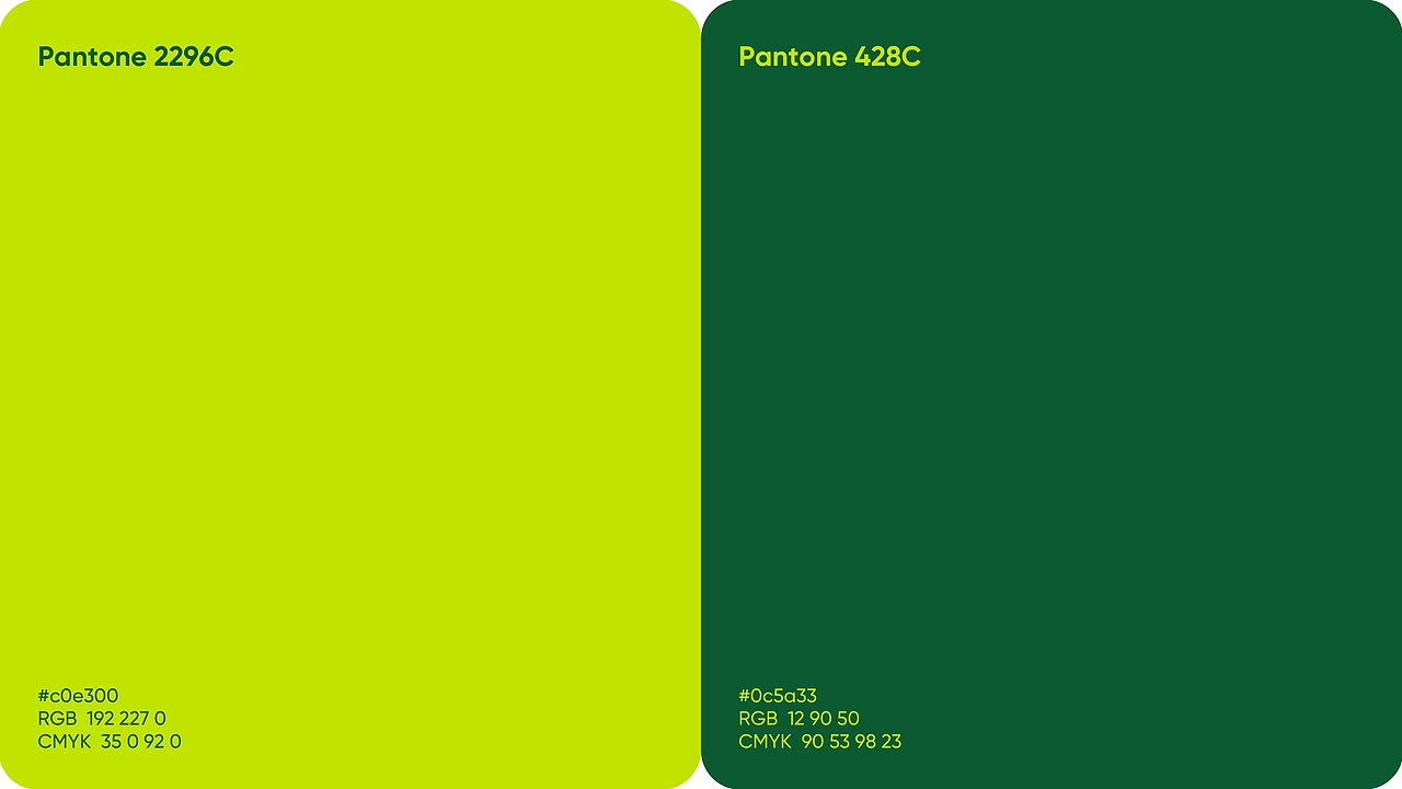 狸木森品牌全案设计｜宠物品牌｜宠物包装