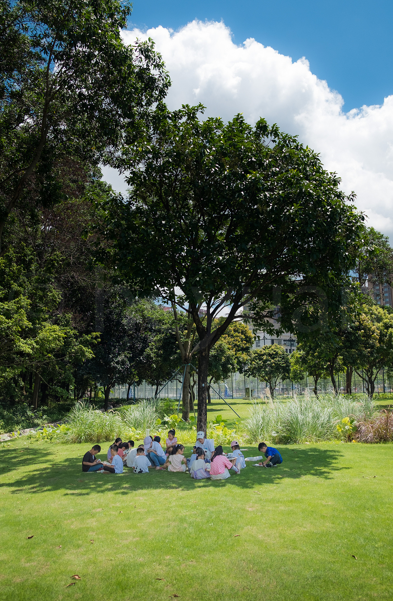 儿童户外活动摄影 户外课拍摄