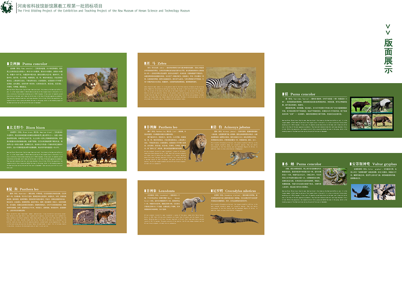 河南省科技馆画册（图ZMzEyNTc4NDQ0） - 书籍/画册 - 站酷设计师周氏仔仔原创素材 - 站酷ZCOOL