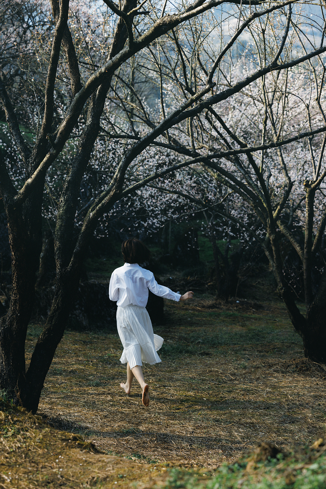 做个春天的梦（图ZMzMzNDc1MzE2） - 人像摄影 - 站酷设计师白山Gavin原创素材 - 站酷ZCOOL