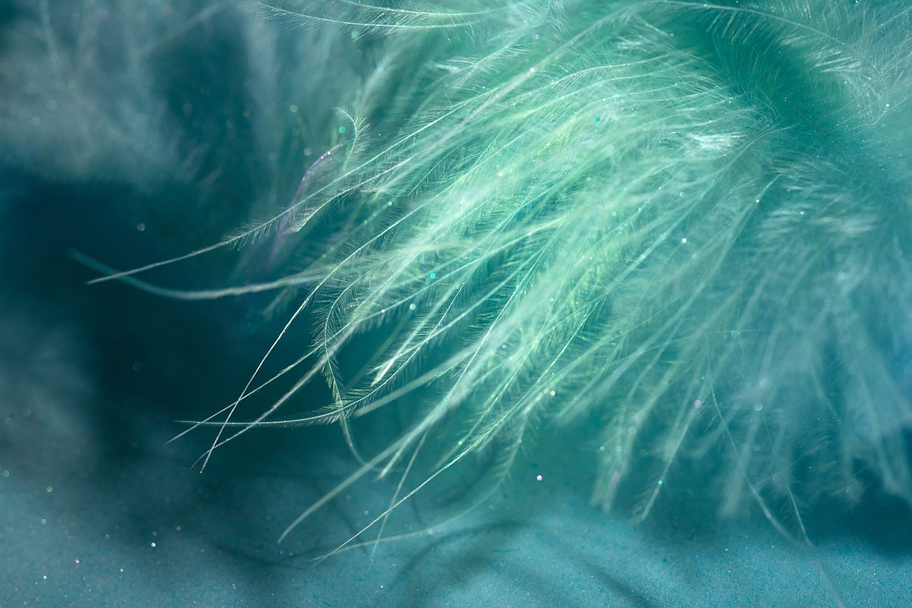 绽影像之《丛林深处》（图ZMzM2NzQzNDUy） - 时尚/艺术摄影 - 站酷设计师陈绽原创素材 - 站酷ZCOOL