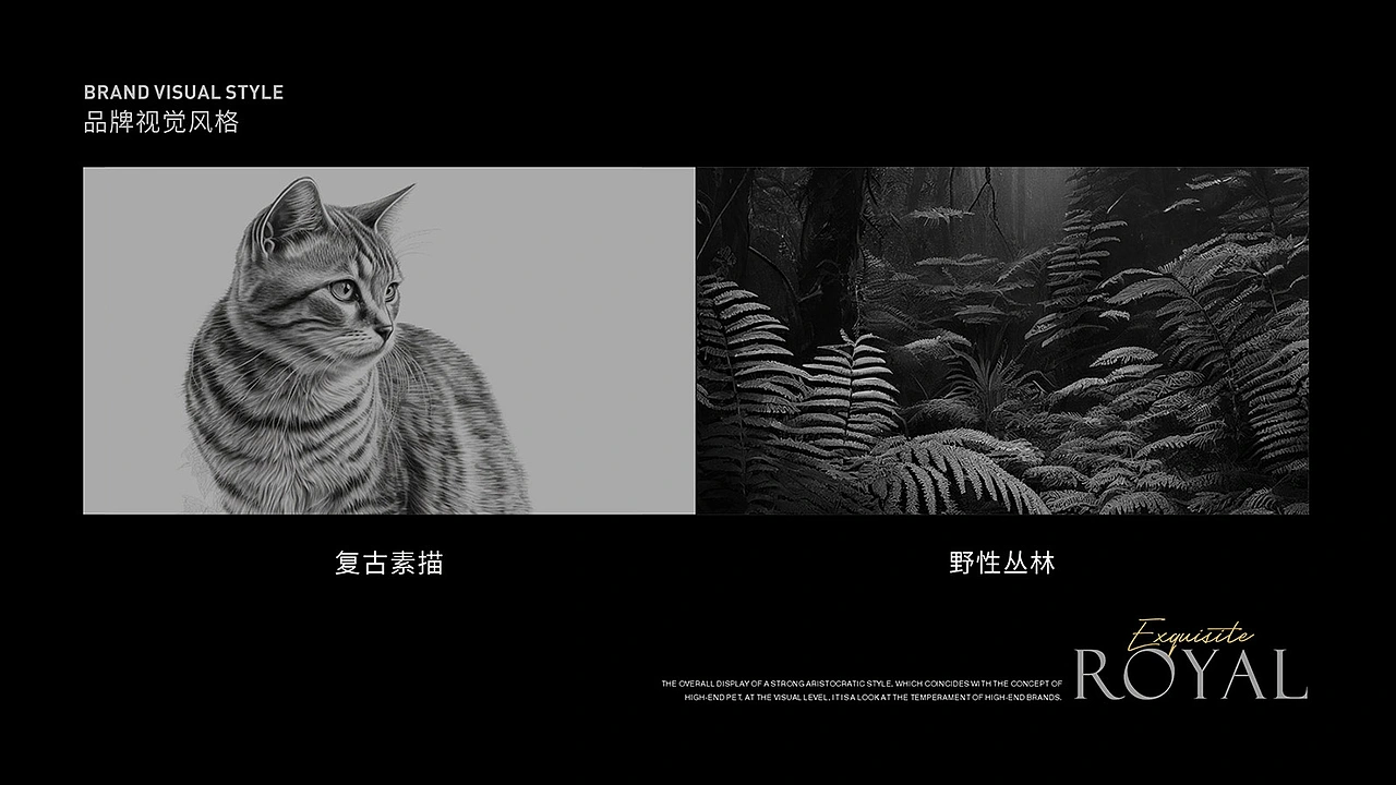 猫粮包装设计 宠物包装设计 宠物vi设计 宠物品牌设计