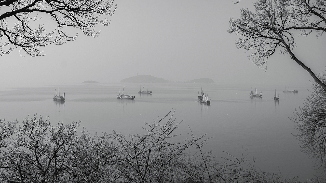 海鸥遇见落日浪漫且自由