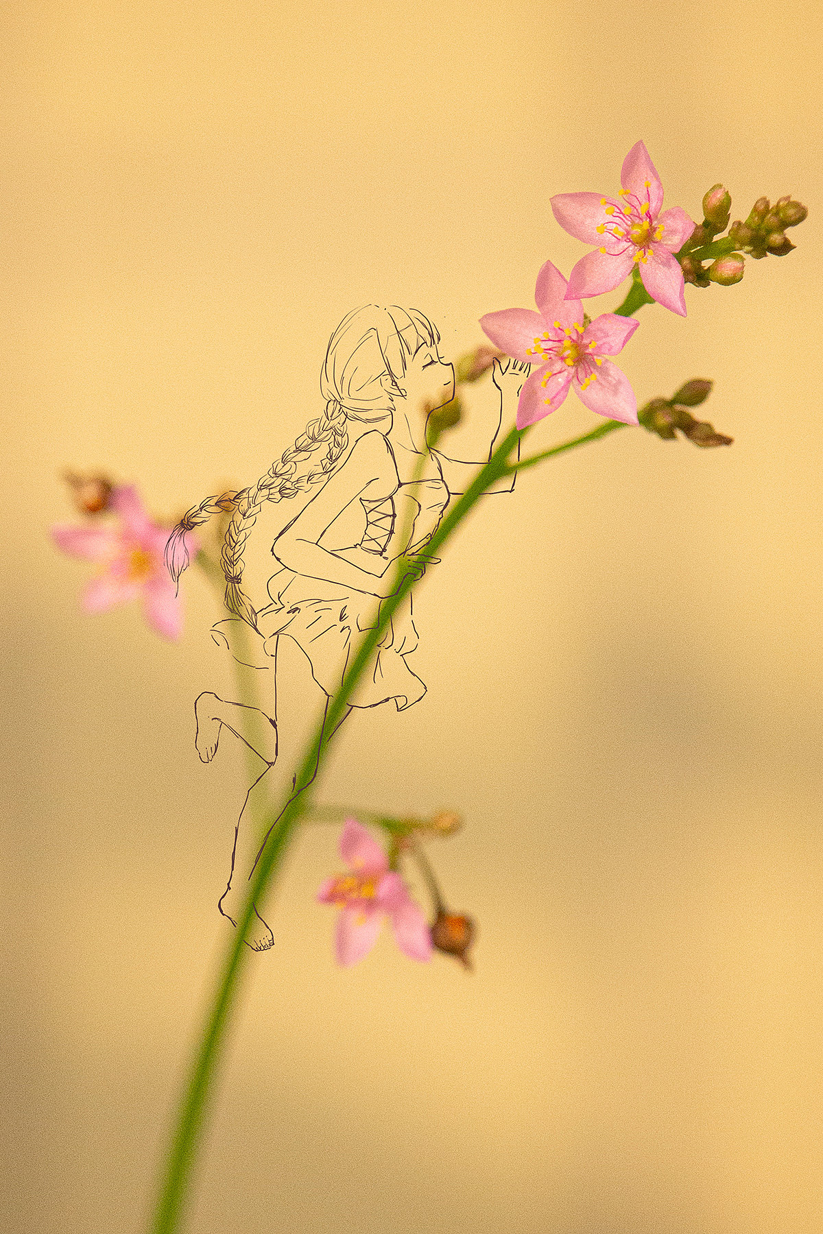 花与少女【1】（图ZMzQ2Nzc3MjI4） - 商业插画 - 站酷设计师夕安_CA原创素材 - 站酷ZCOOL