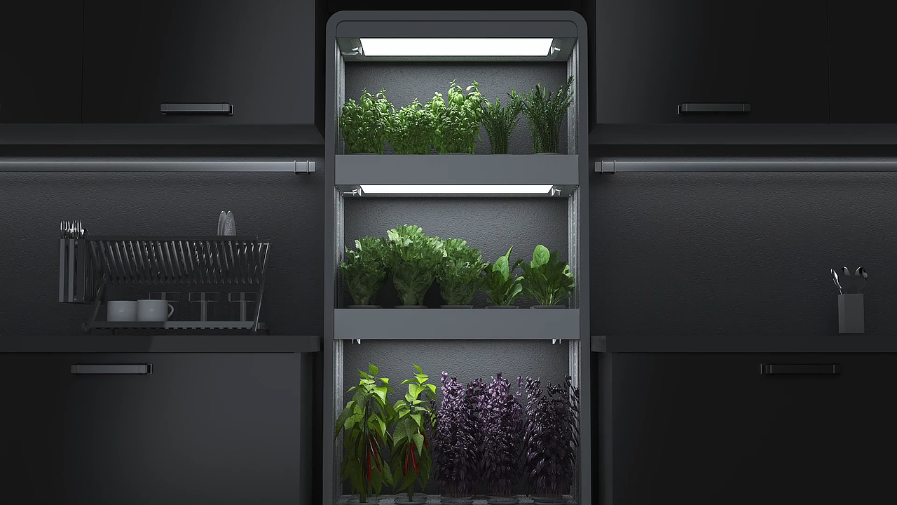 Convolute蔬菜机广告