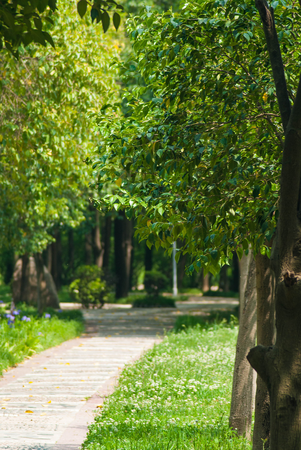 平平无奇一个自学摄影小白的爱好捏