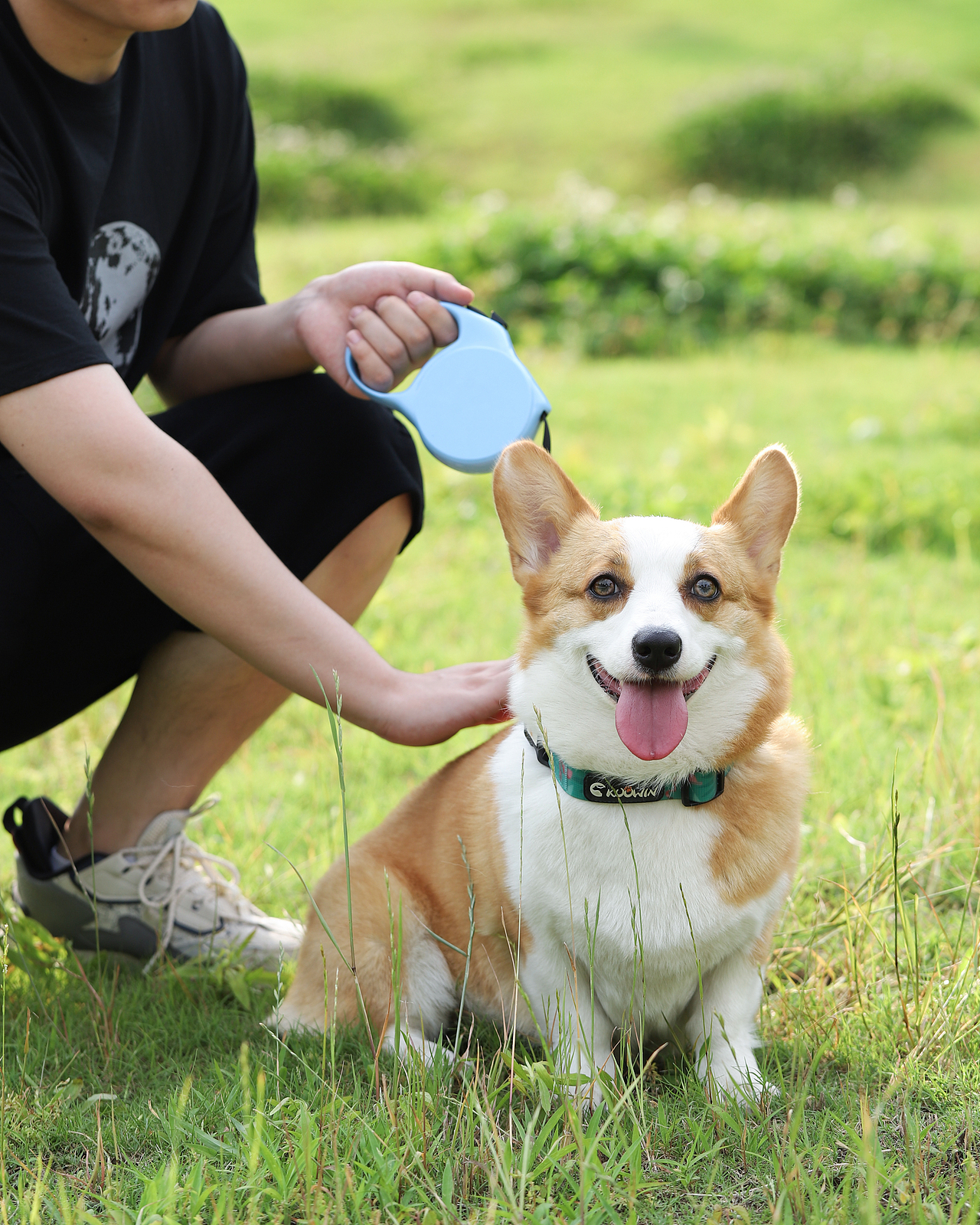 宠物用品/日常拍摄/宠物牵引绳