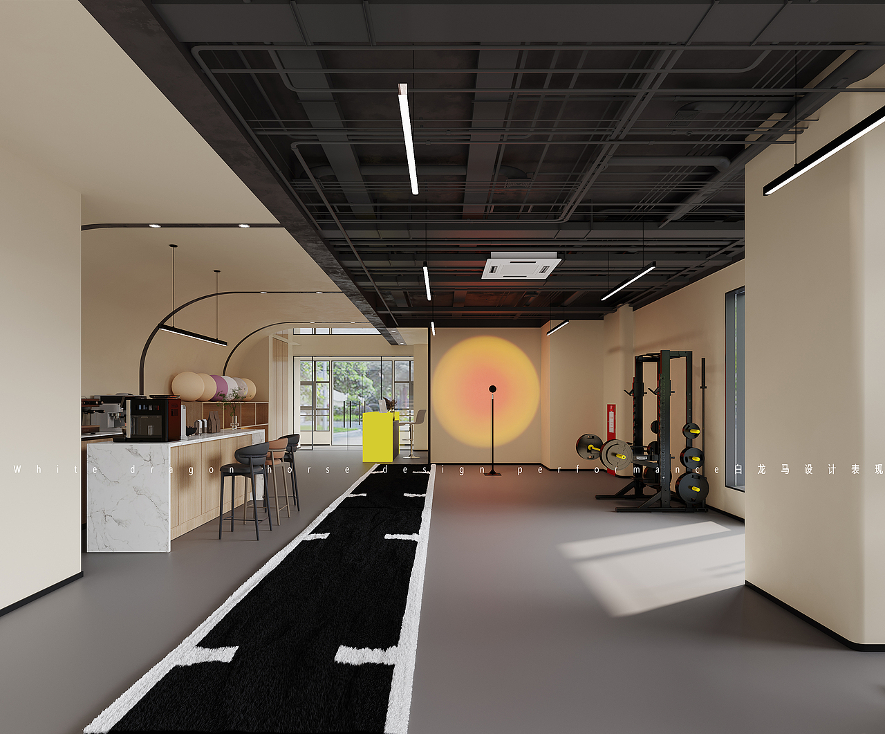 健身房——白龙马效果