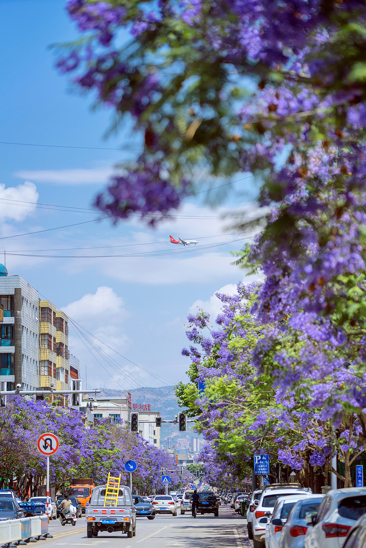 蓝花楹（图ZMjk5NzMyMTQw） - 风光摄影 - 站酷设计师kewell_24原创素材 - 站酷ZCOOL