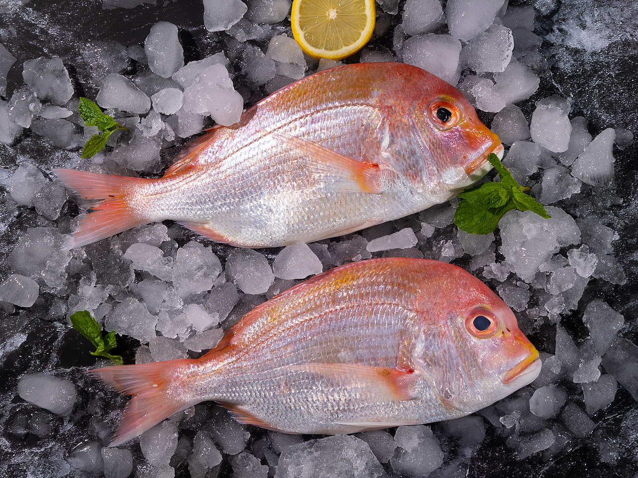 铜彭鱼（图ZMzQ3MTYyMTYw） - 产品摄影 - 站酷设计师accganjue原创素材 - 站酷ZCOOL