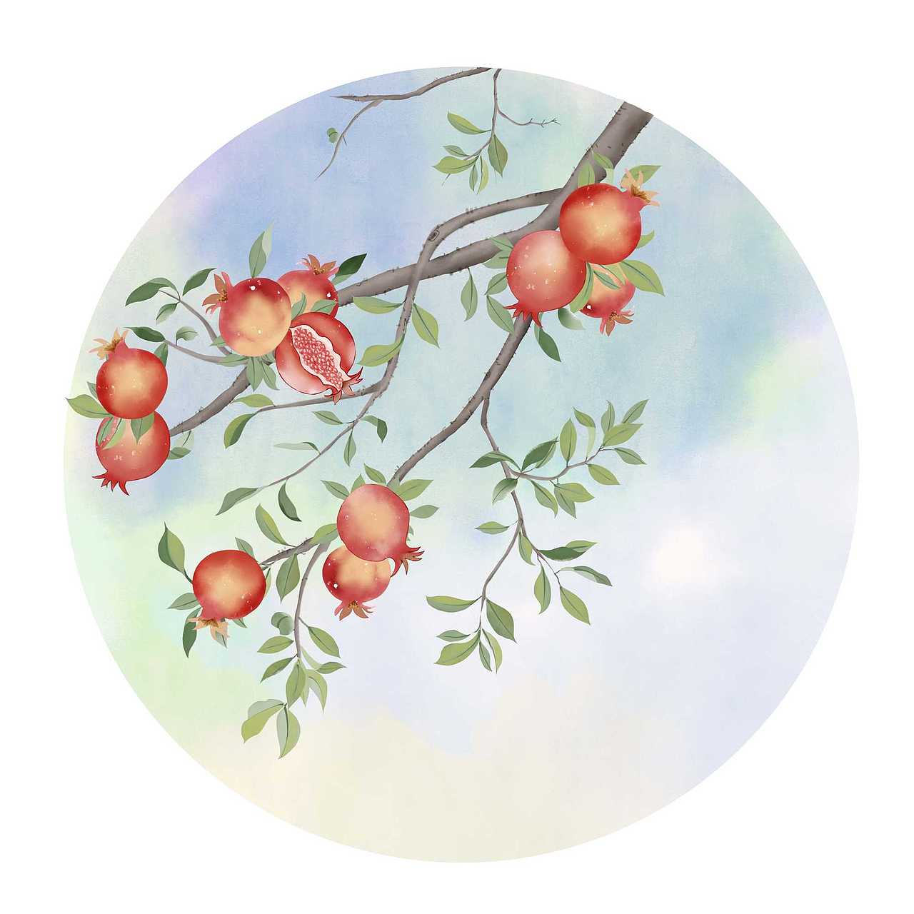 石榴熟了手绘画