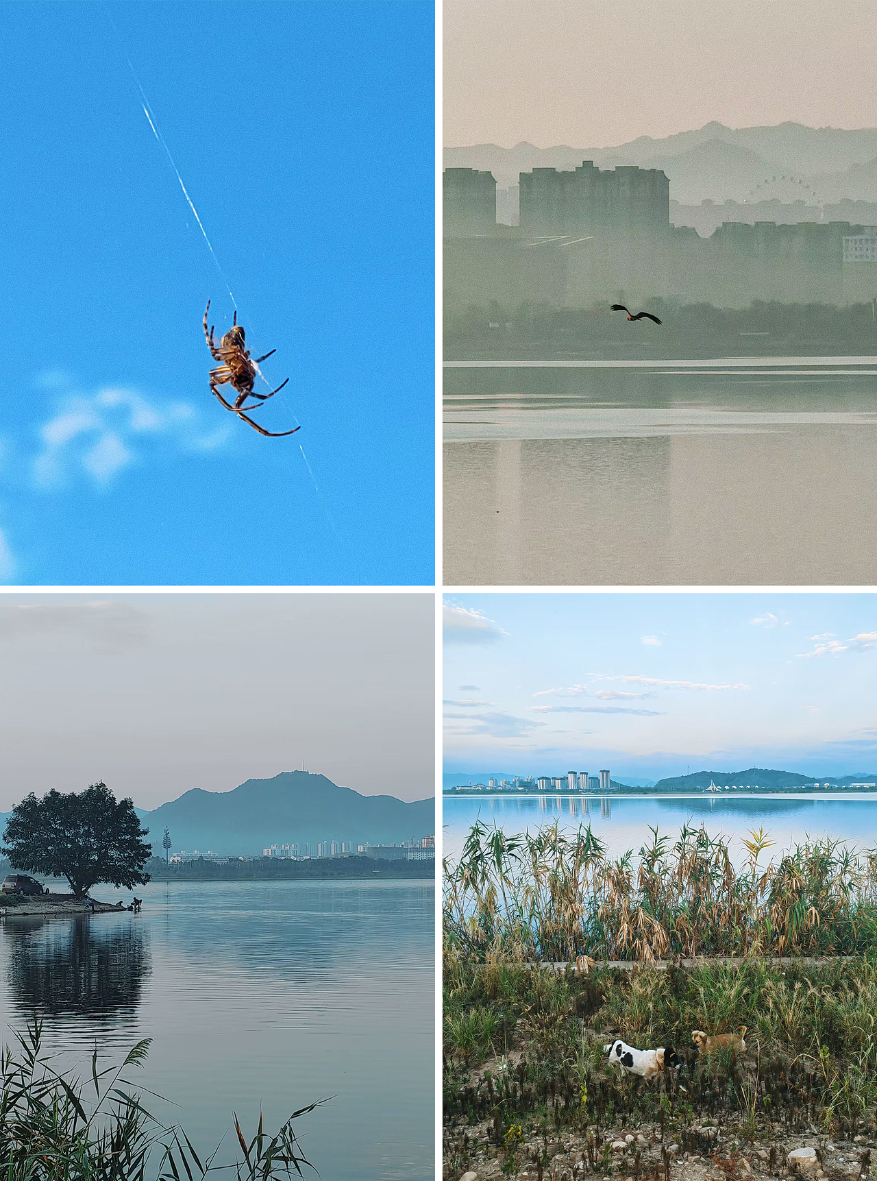 小梦的随手拍-第4期（图ZMzIwMDQ4Mjcy） - 风光摄影 - 站酷设计师梦梦小梦12原创素材 - 站酷ZCOOL