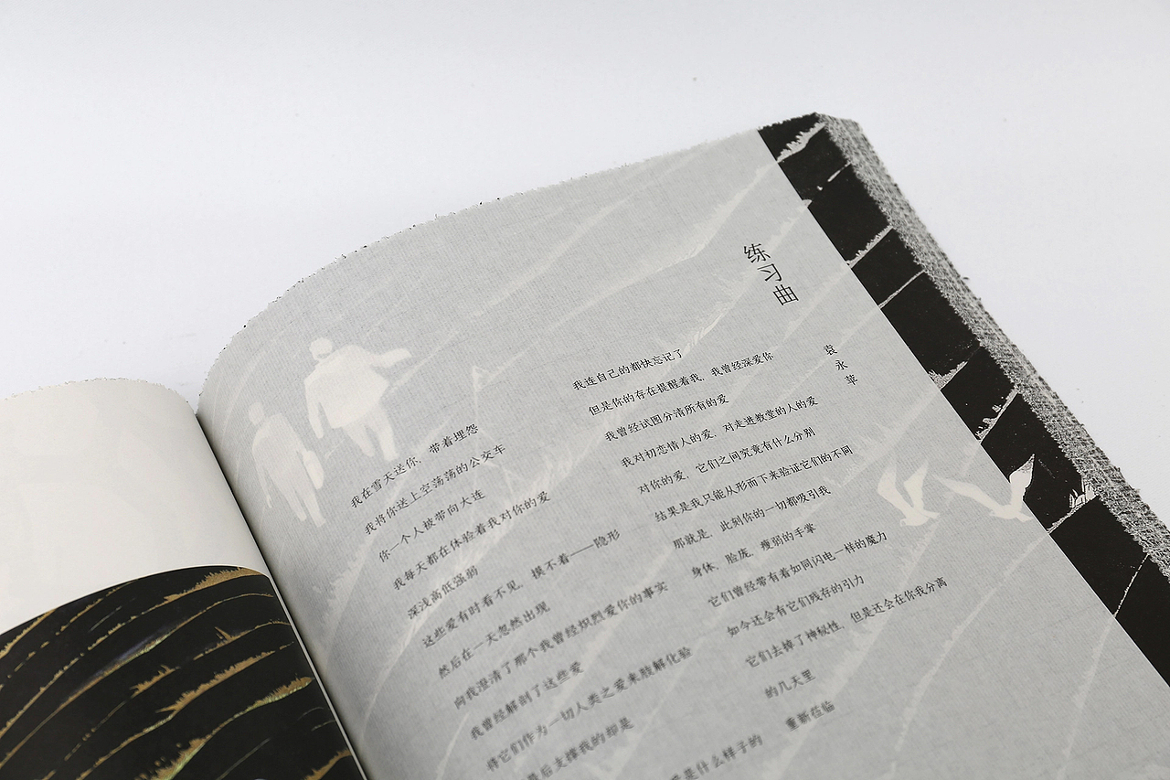 飞鸿踏雪 I 书籍设计（图ZMzMxNTc4NzI0） - 书籍/画册 - 站酷设计师造像原创素材 - 站酷ZCOOL