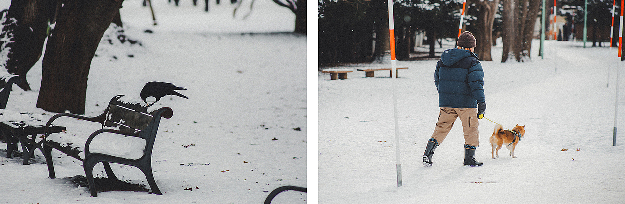 北海道的冬夜昼雪（图ZMzMwMjkzNzY4） - 人文/纪实摄影 - 站酷设计师付诗意PHOTO原创素材 - 站酷ZCOOL