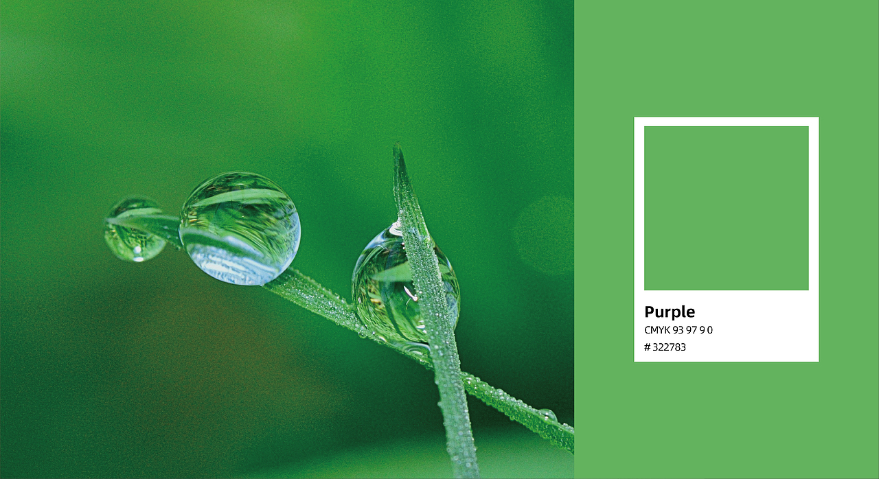 品牌设计-饮品（图ZMzU5MDc0MjEy） - 品牌 - 站酷设计师77Heaven原创素材 - 站酷ZCOOL