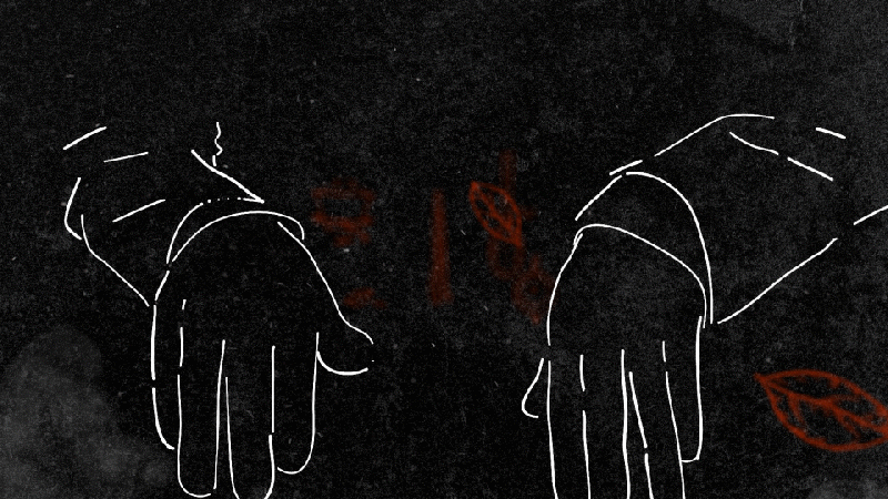 《大国茶人》节目整包