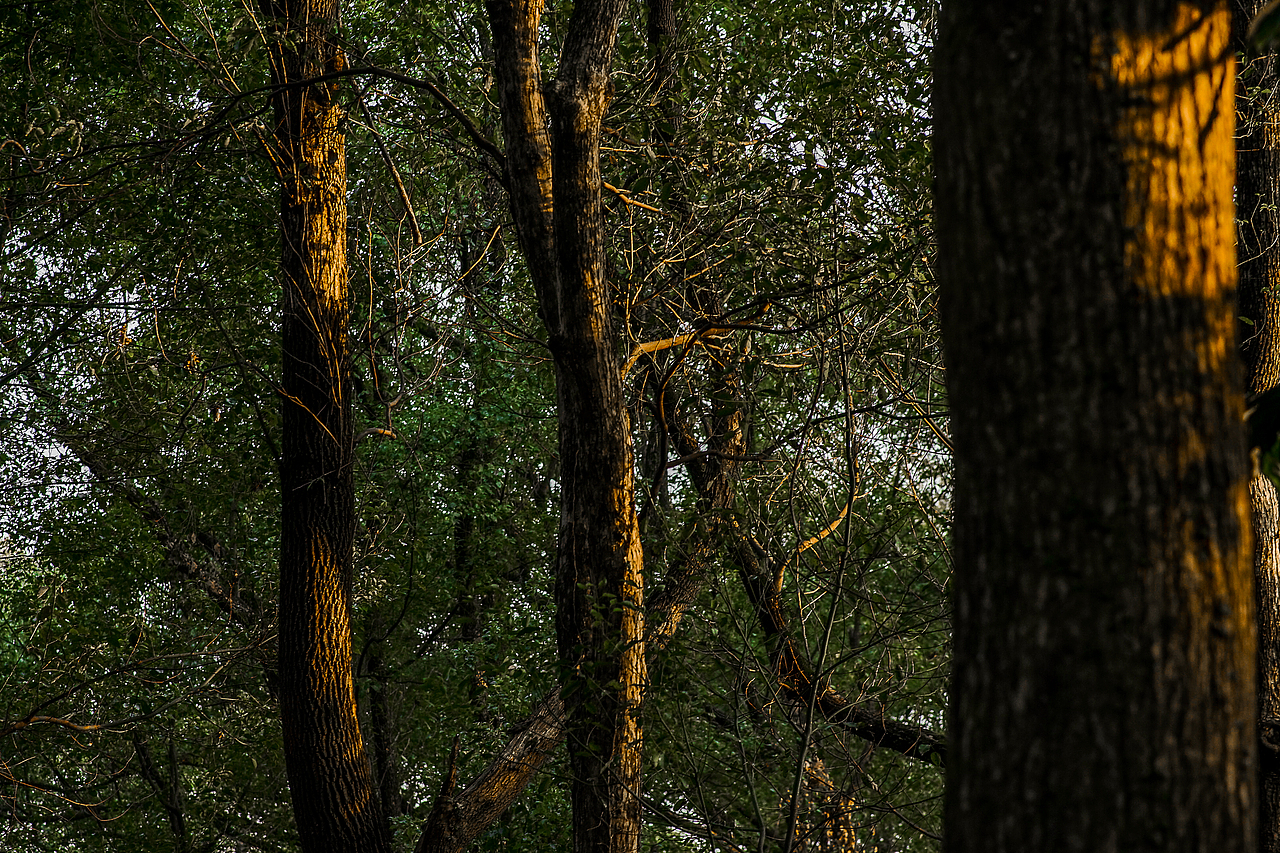 城市风貌系列6（图ZMzYzMTQ2MDYw） - 风光摄影 - 站酷设计师莫潘原创素材 - 站酷ZCOOL