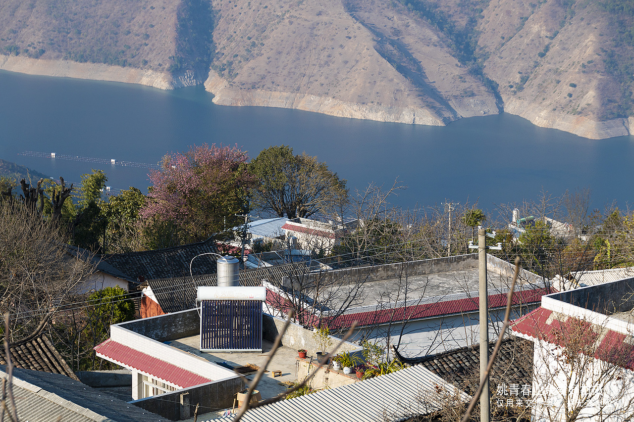 云南临沧凤庆县大寺乡澜沧江小湾水电站库区13761859495#姚青春