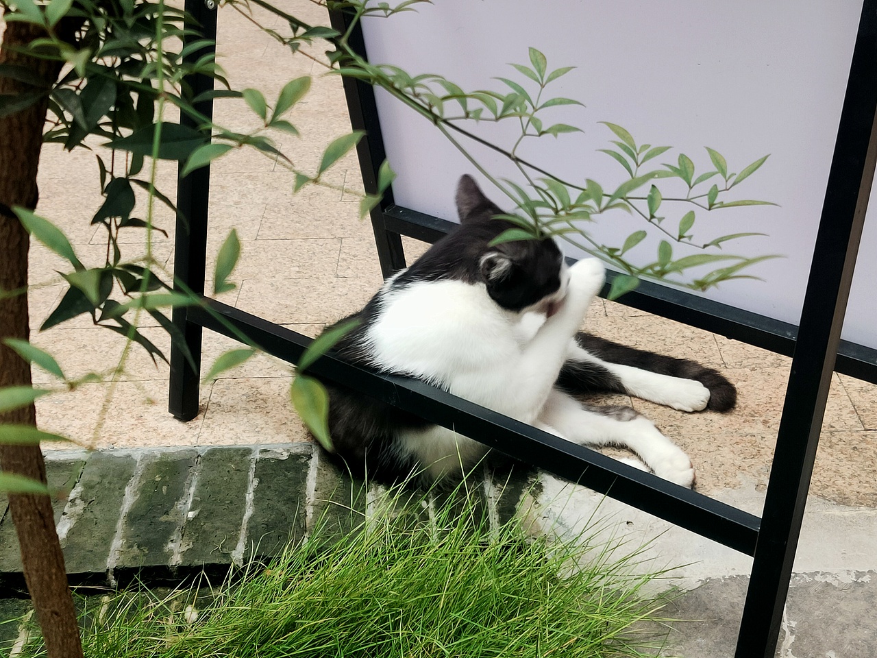 #定格# 生活的小东西