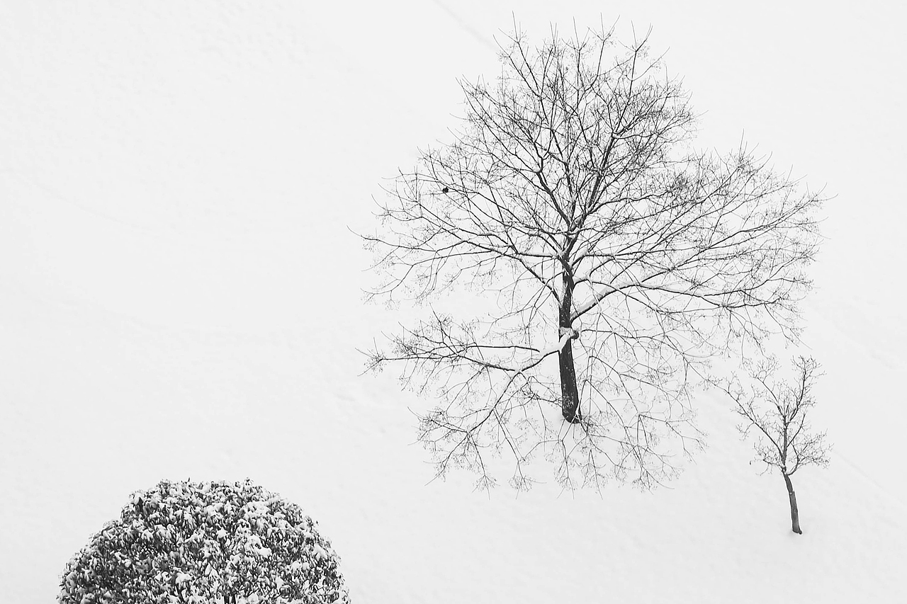 2022，好像拍了，又好像没拍...（图ZMzI1MTgwNTc2） - 其他摄影 - 站酷设计师诗云品牌原创素材 - 站酷ZCOOL