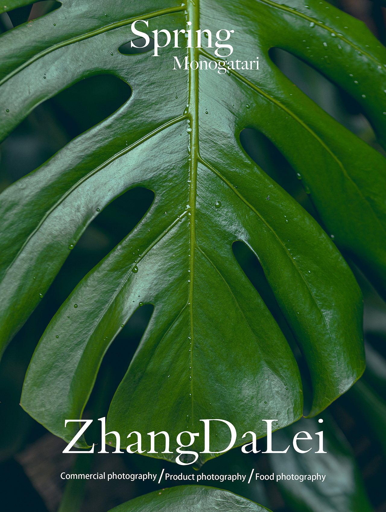 春天物语（图ZMzY2MzgxMDAw） - 其他摄影 - 站酷设计师子菲门视觉原创素材 - 站酷ZCOOL