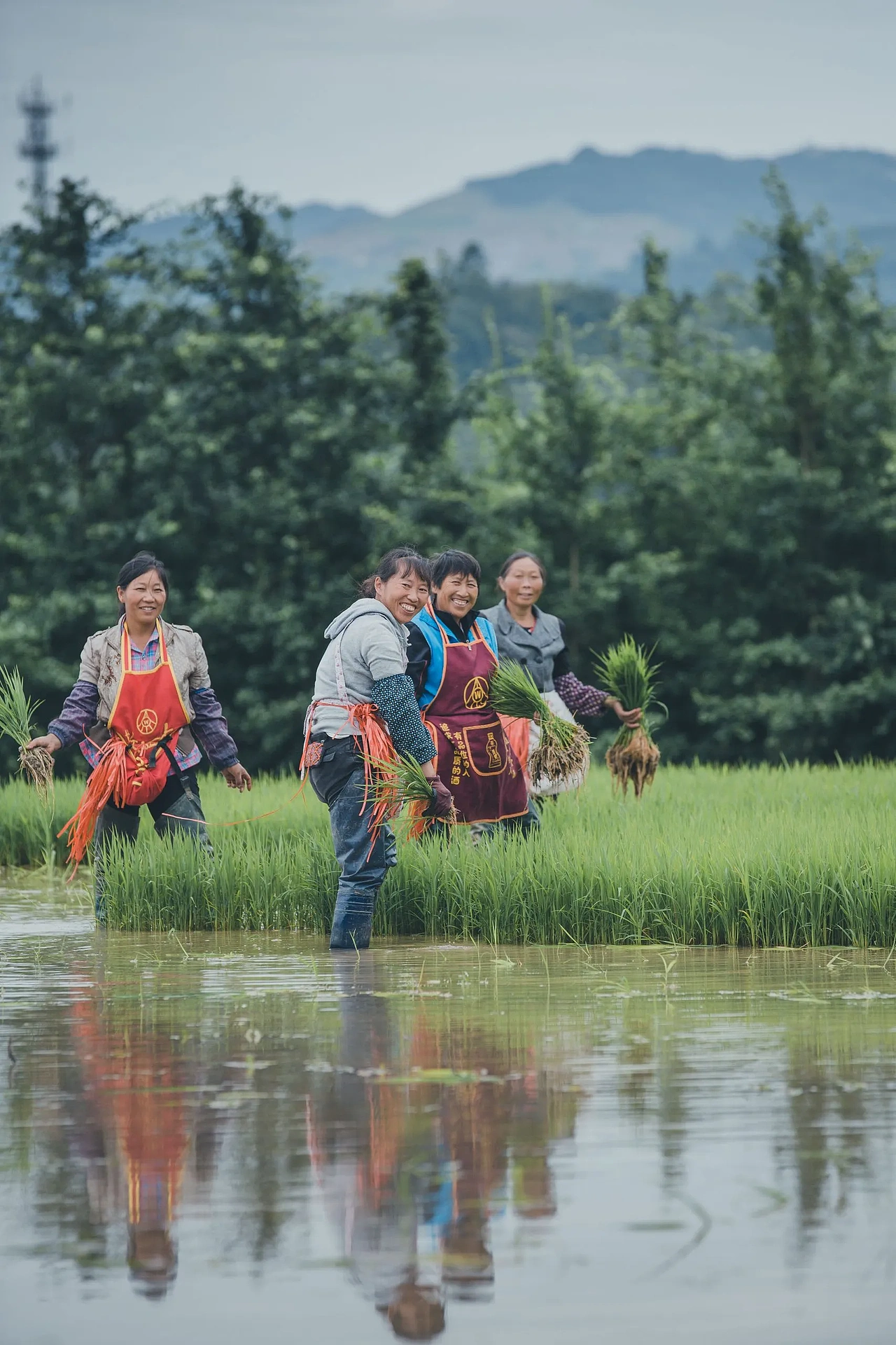 【案例分享】峨眉·高桥小镇
