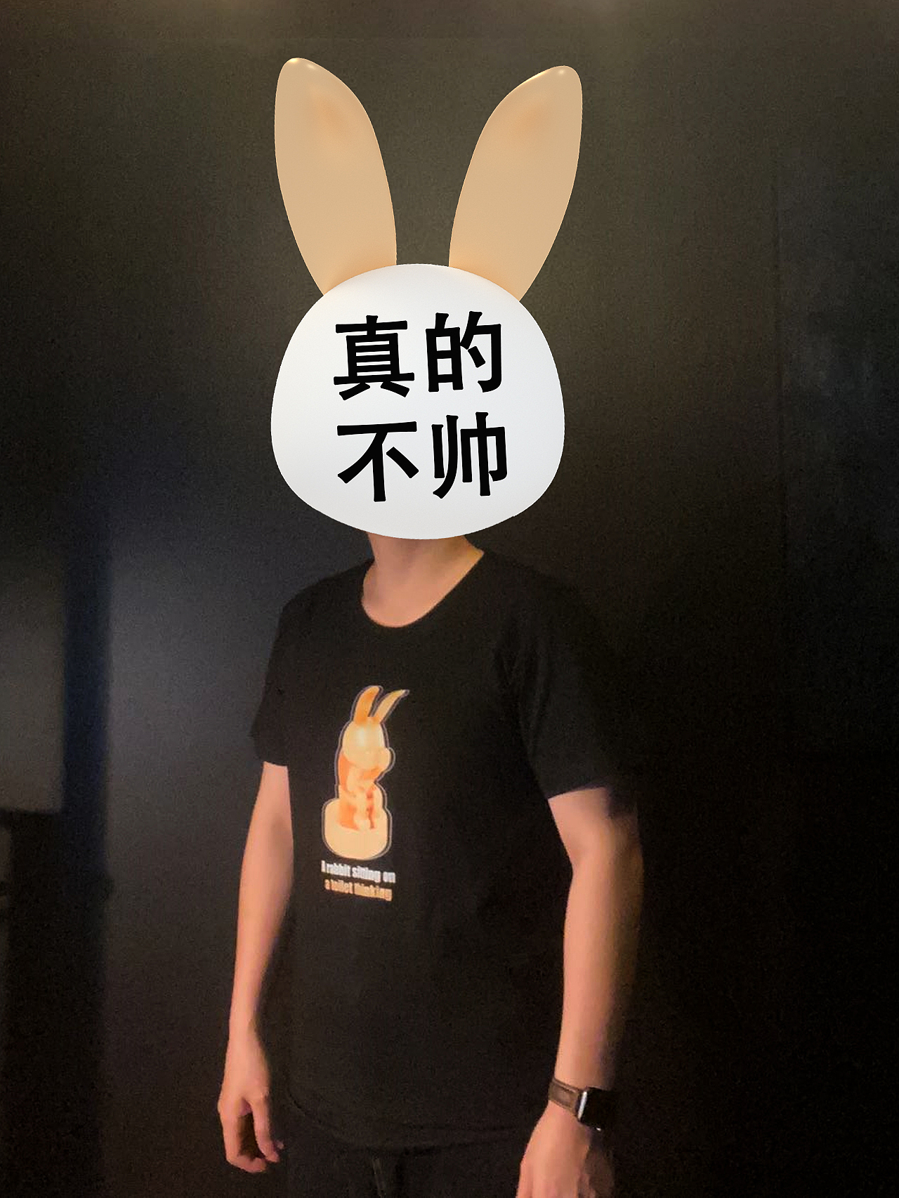 马上思考的创作历程-关于一只坐马桶上思考的兔子故事（图ZMjk4NDk2Mzgw） - 动画/影视 - 站酷设计师三石设计nft原创素材 - 站酷ZCOOL