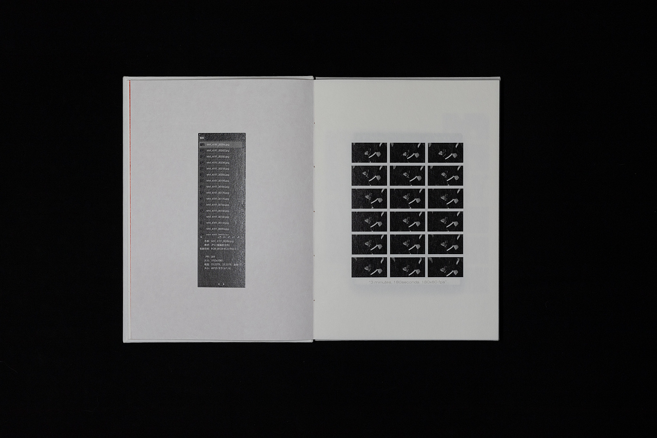 “景观社会”书籍设计