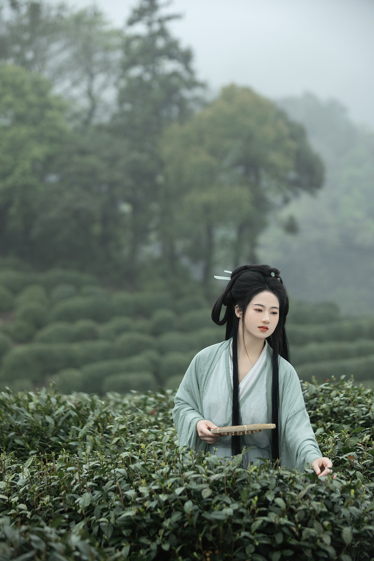 明前绿（图ZMzY5NTMzNjcy） - 人像摄影 - 站酷设计师若寒Rock原创素材 - 站酷ZCOOL