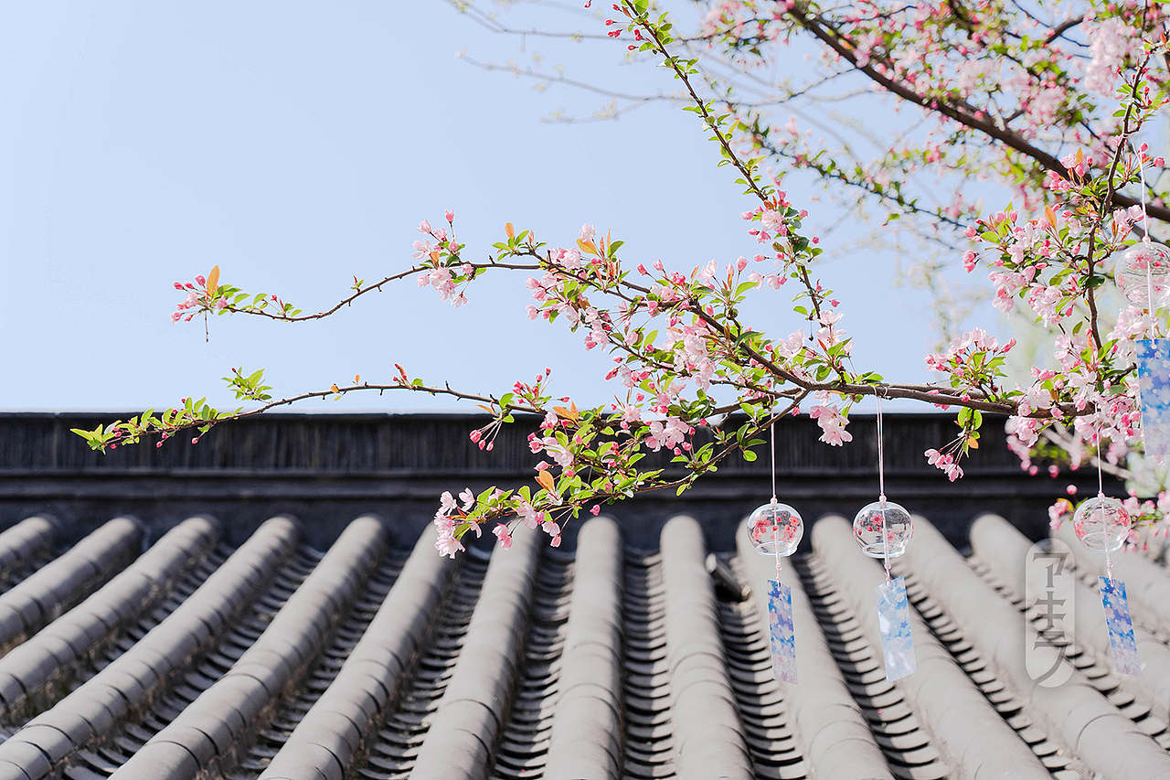 莫愁粉黛临窗懒