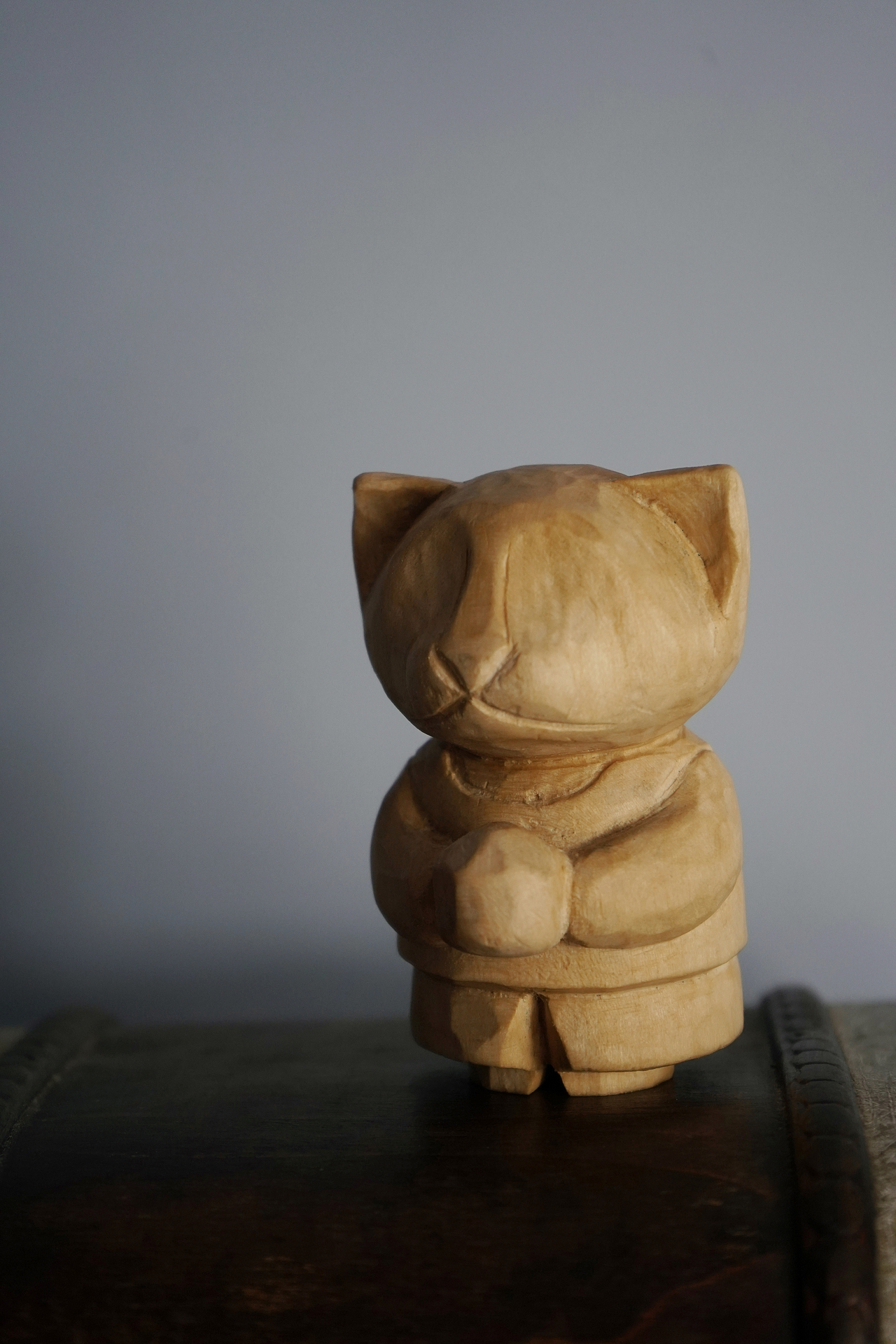 2022.6.13夏日猫咪的海边生活系列——捧椰子的大橘