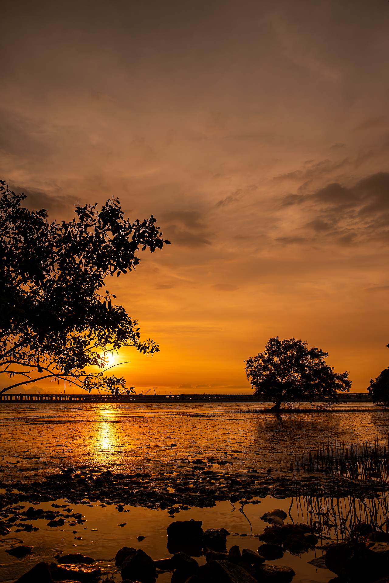 日落夕阳（图ZMzQ2NjYzMDg0） - 风光摄影 - 站酷设计师TaoYuanCK原创素材 - 站酷ZCOOL