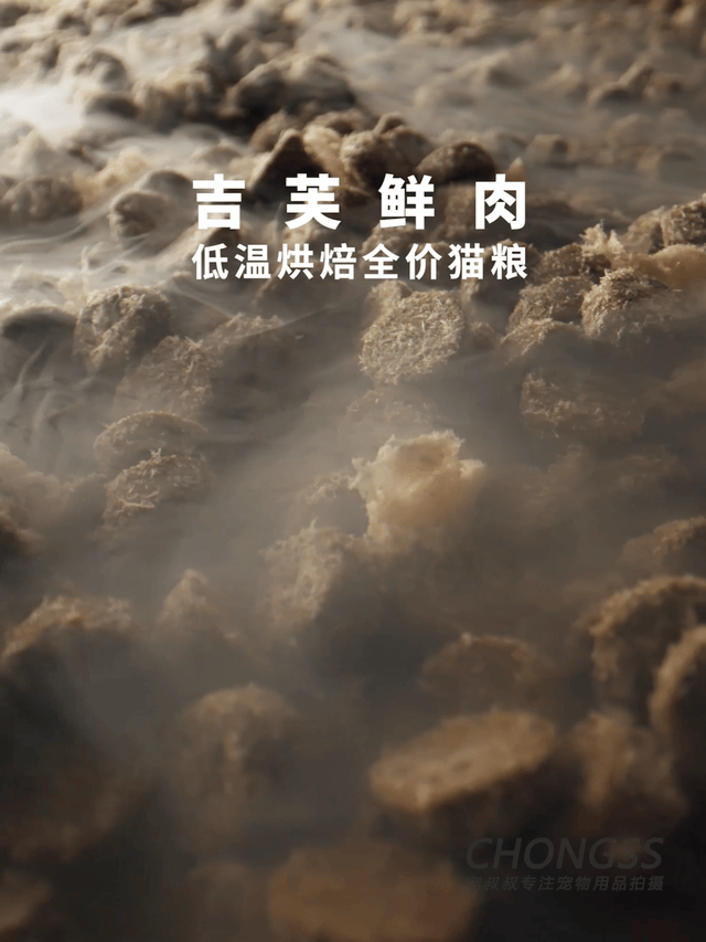 宠物产品摄影|宠叔叔  X  吉芙鲜肉猫粮