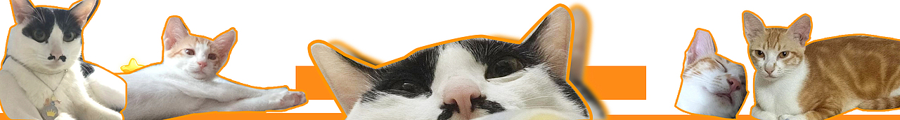 三只猫（图ZMzA1MzUyOTc2） - 其他平面 - 站酷设计师小璃子YY原创素材 - 站酷ZCOOL