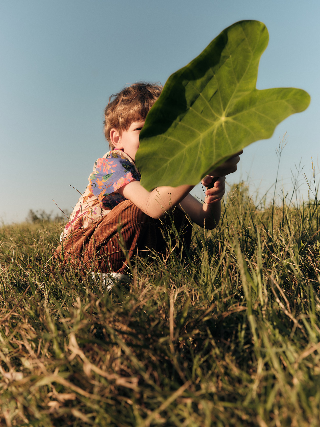 Tanners!Tanners!Tanners! 冬日前!