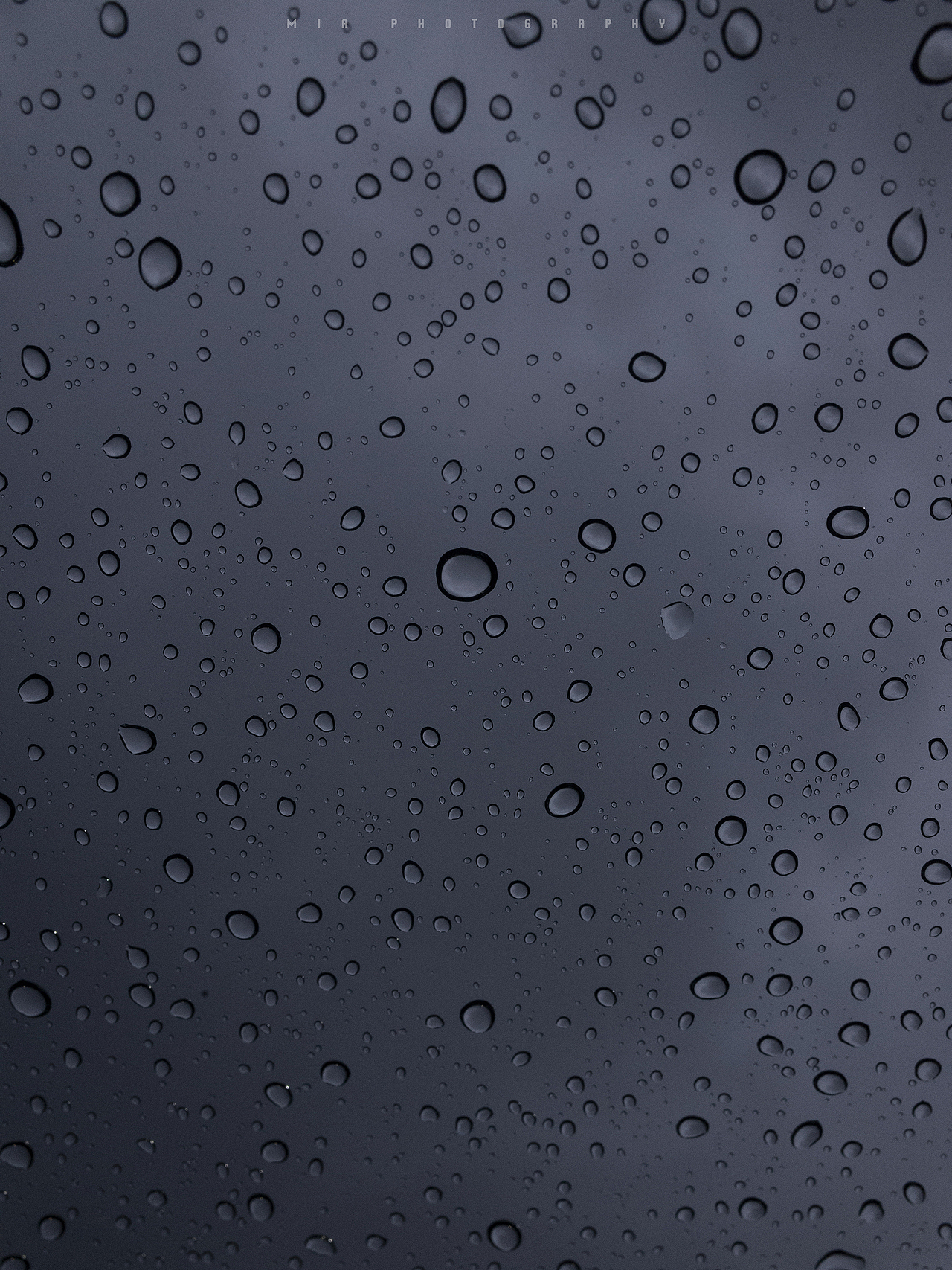 所在之地进入雨季,那天兴致勃勃外出却下雨了,理光随手拍拍