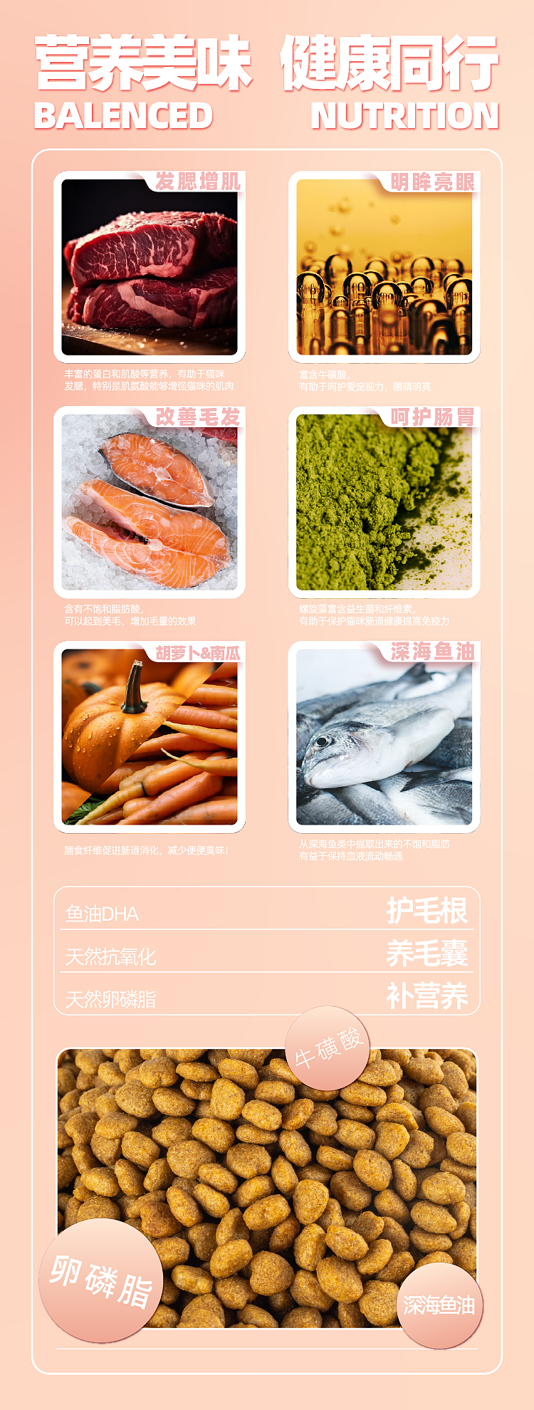 With A Brand Half 1 Week #4 嘉乐蒂 详情页制作